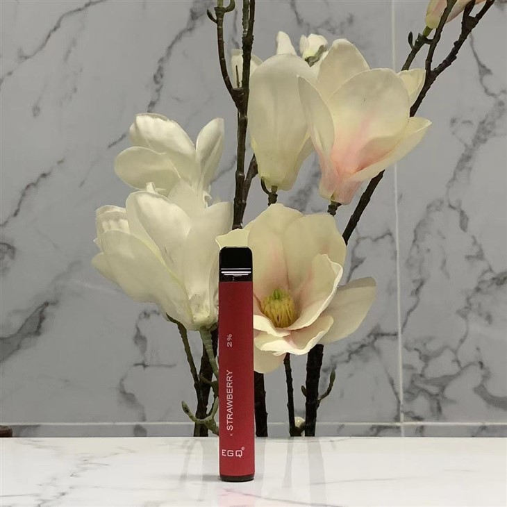 Disposable 2 Ml Vape Pen With 600 Puffs