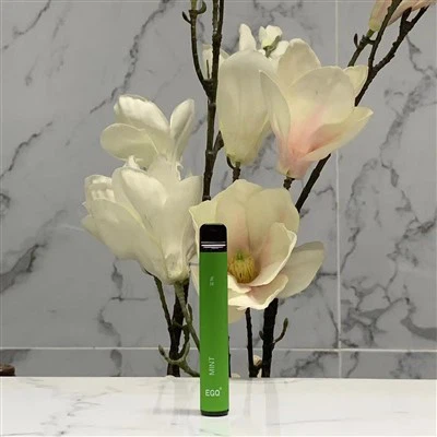 Jednorazowy długopis Vape 600 Puffs