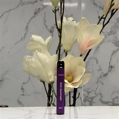 Wysokiej jakości waporyzator z 600 zaciągnięciami